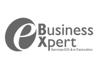 EBUSINESS EXPERT