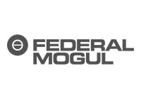 FEDERAL-MOGUL IGNITION PRODUCTS SAS